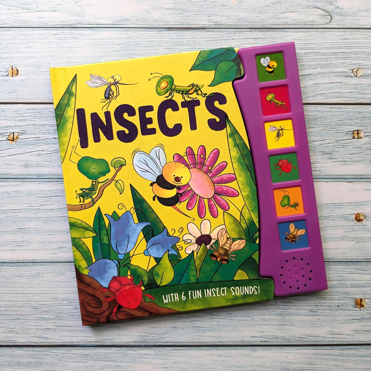 Insects - With 6 Fun Insect Sounds!