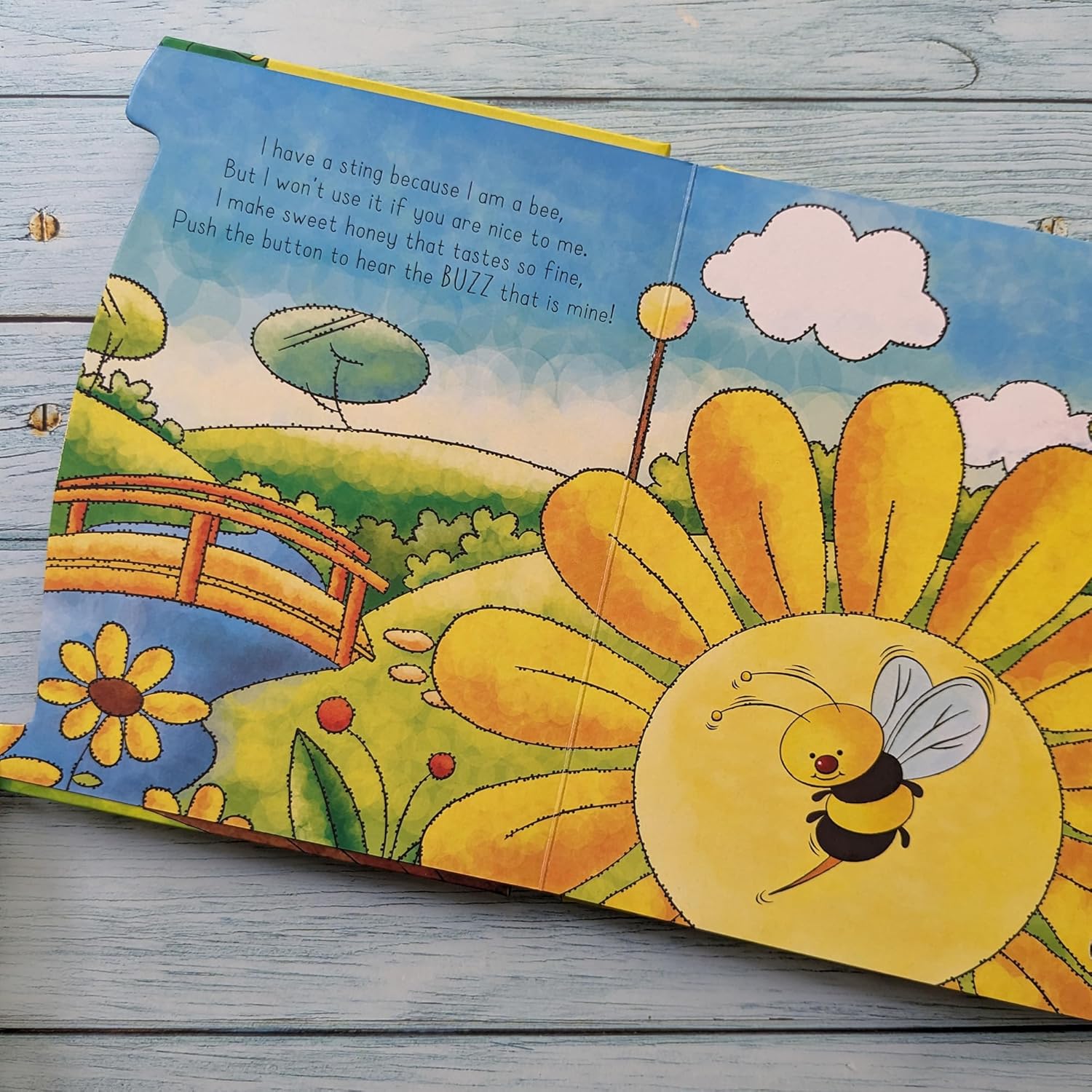 Insects - With 6 Fun Insect Sounds!