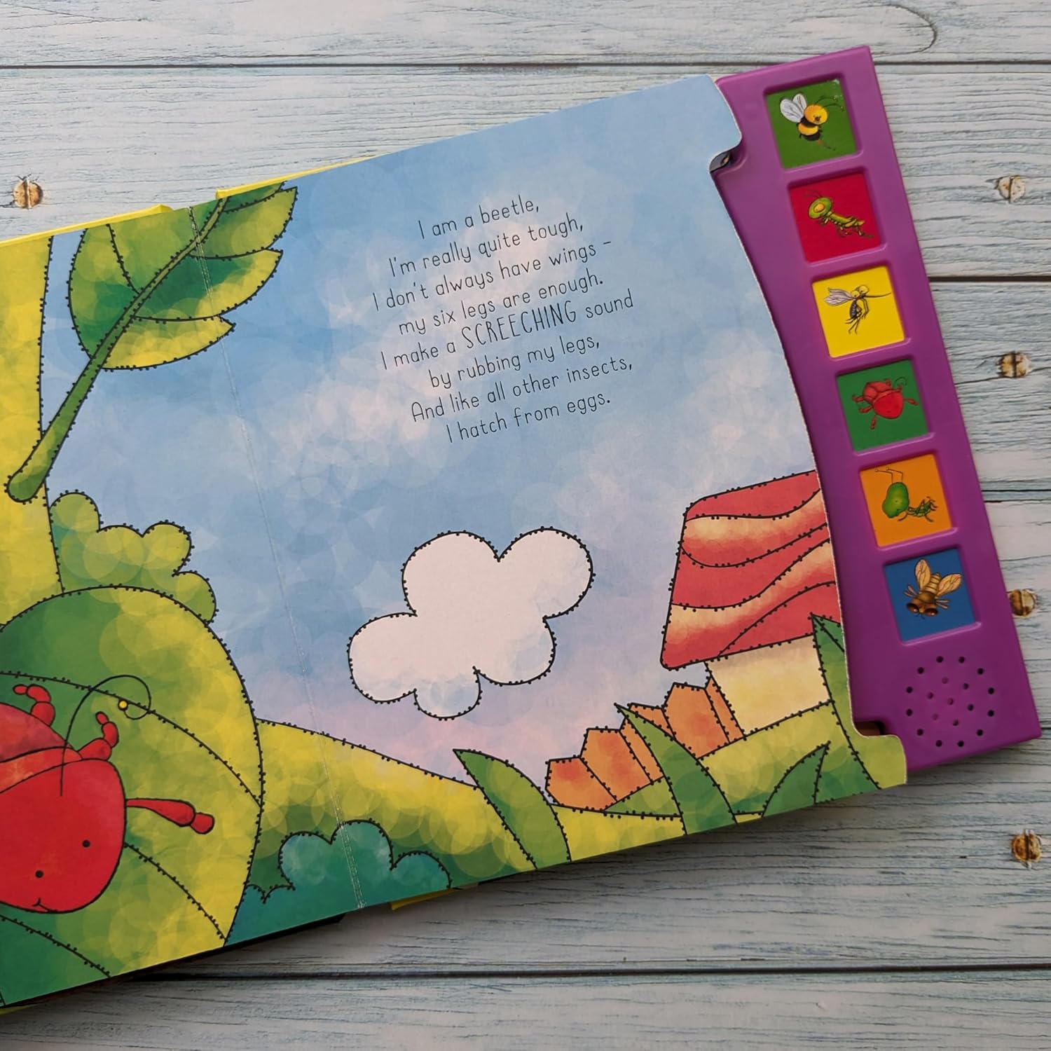 Insects - With 6 Fun Insect Sounds!