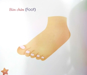 iq - bé thử đếm xem - bồi dưỡng kỹ năng tập đếm và năng lực sắp xếp trình tự của trẻ