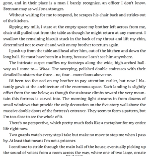 iron flame - the empyrean series