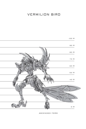 iron widow (paperback)