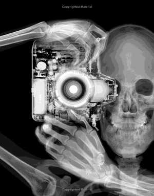 it can't be true! human body! : 1,000 amazing facts about you