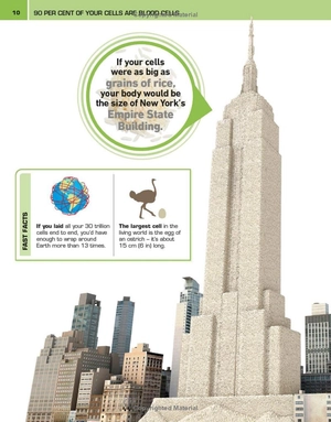 it can't be true! human body! : 1,000 amazing facts about you