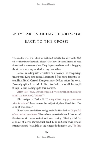 it is finished: a 40-day pilgrimage back to the cross