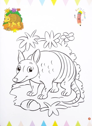 itℹs my first animals colouring book