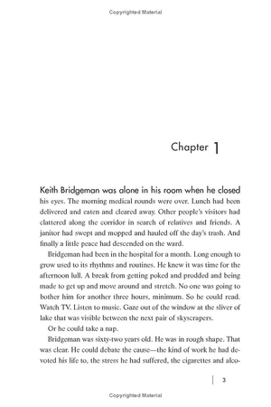 jack reacher - book 28 - the secret