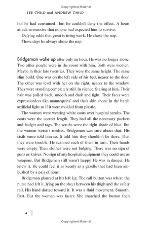 jack reacher - book 28 - the secret