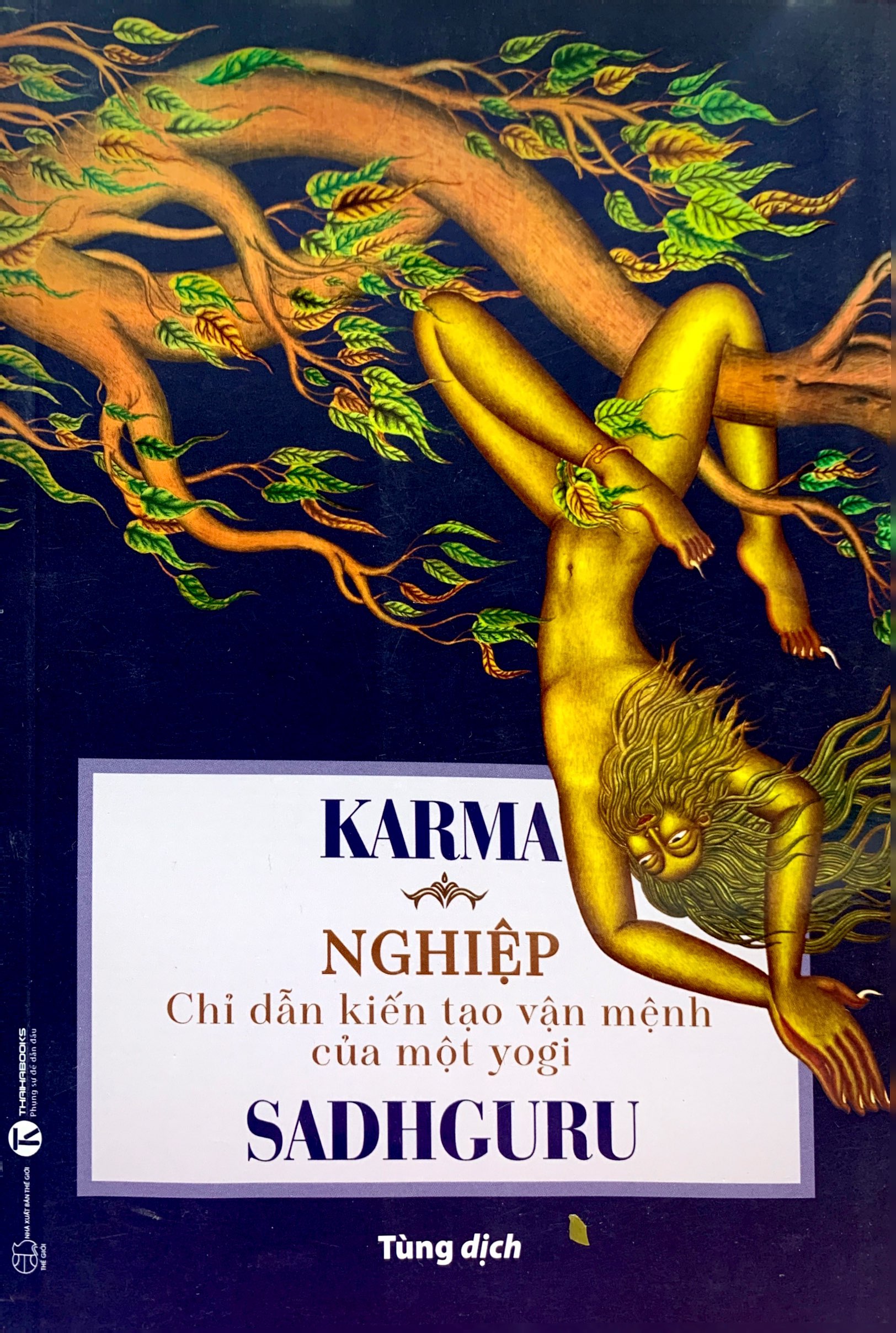 karma - nghiệp: chỉ dẫn kiến tạo vận mệnh của một yogi