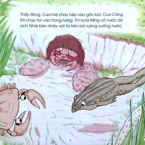 kể chuyện mẫu giáo: vì sao cua lại bò ngang?