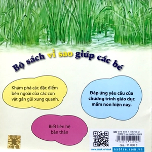 kể chuyện mẫu giáo: vì sao cua lại bò ngang?