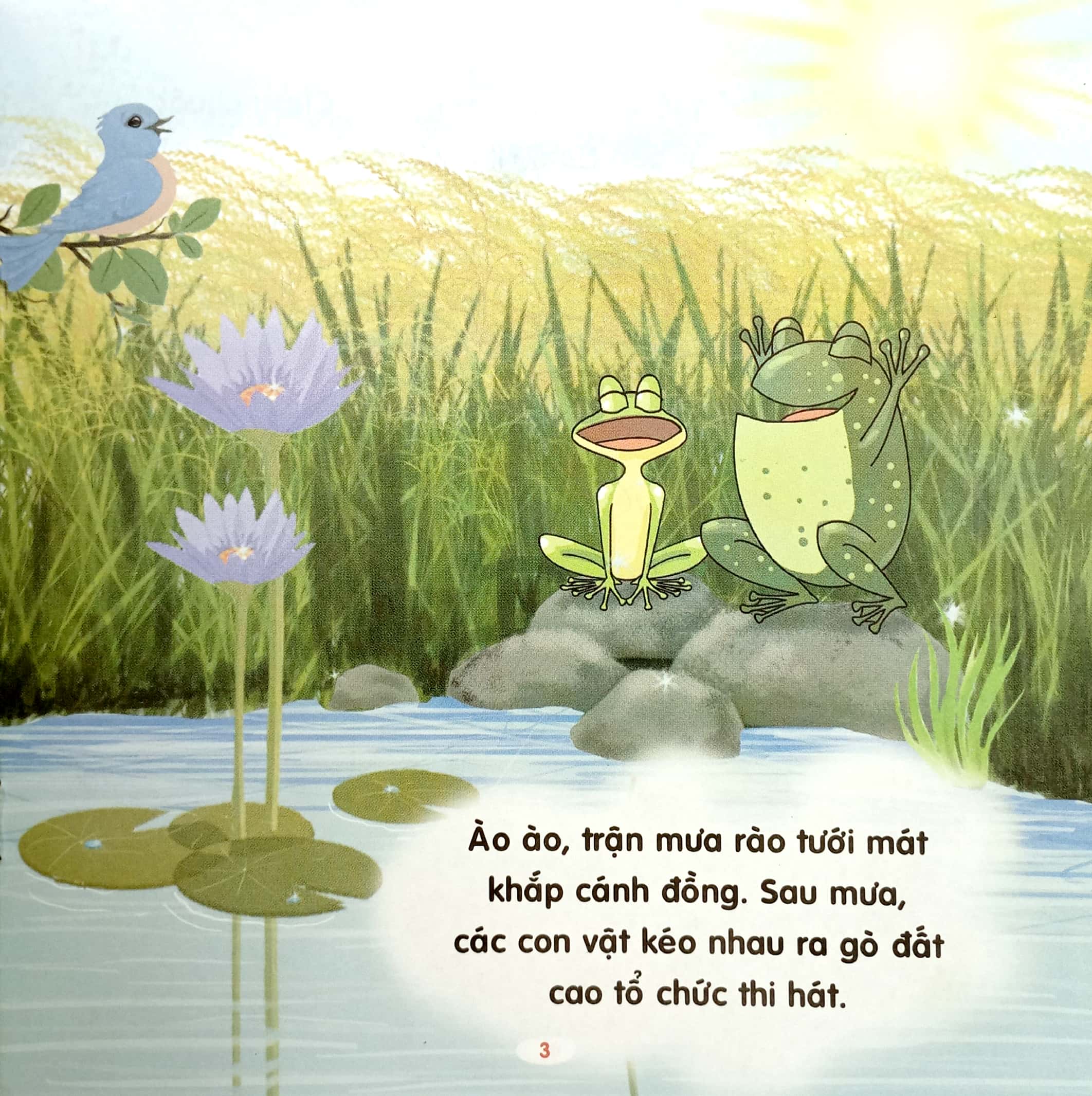 kể chuyện mẫu giáo - vì sao ếch hát hay?