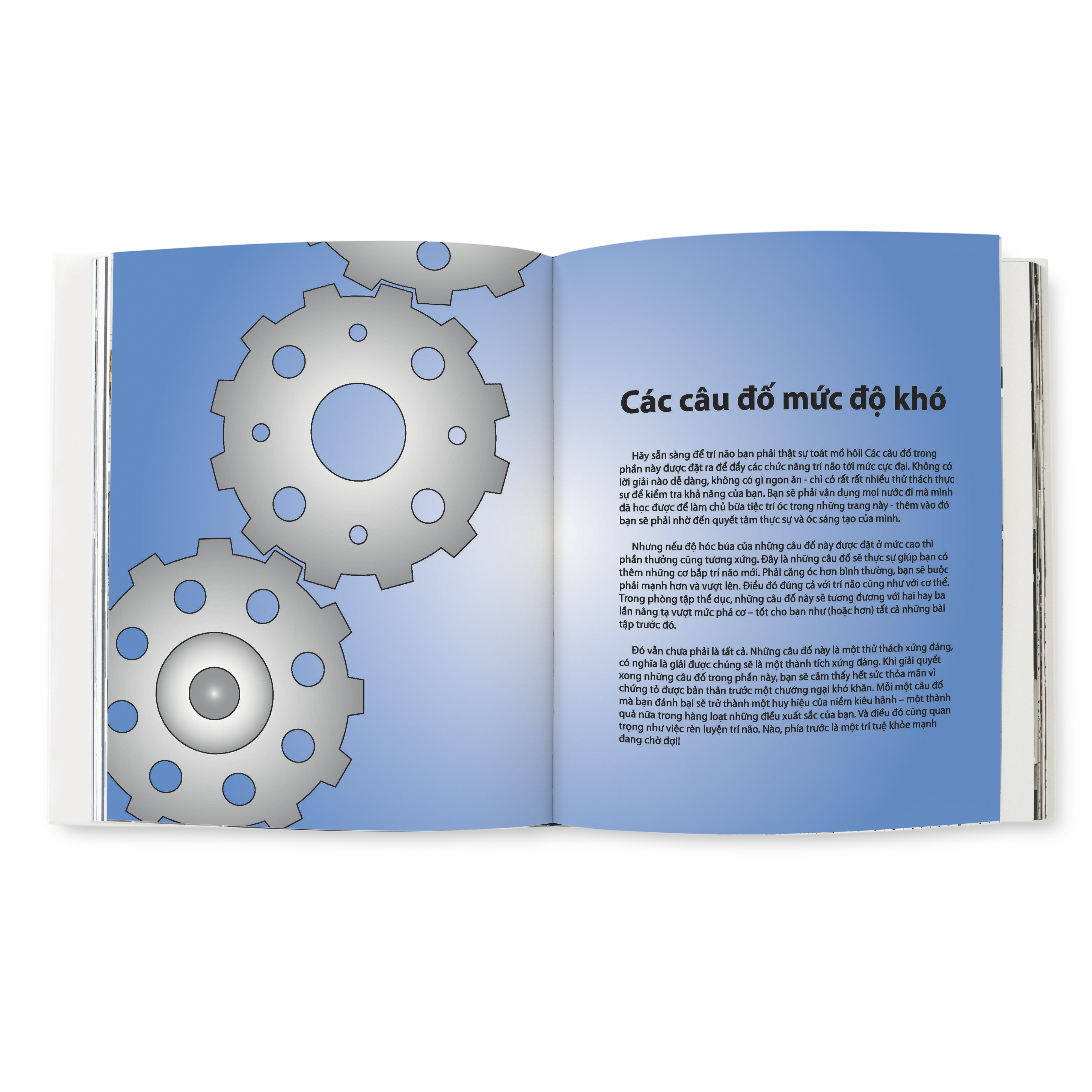 Keep Your Brain Fit - 300 Cau Do Tu Duy Cua Sinh Vien Truong Dai Hoc Harvard (Tai Ban 2025)