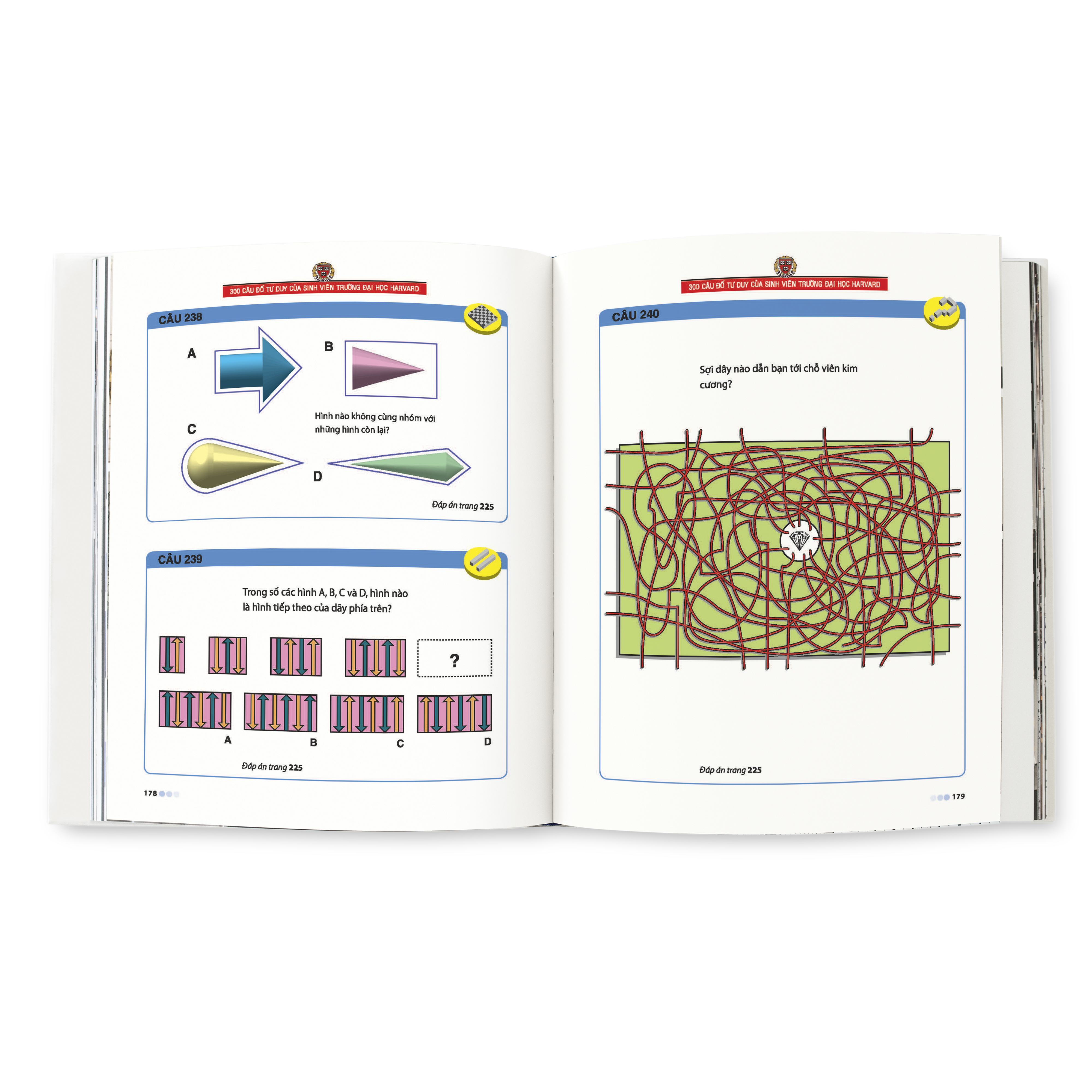 Keep Your Brain Fit - 300 Cau Do Tu Duy Cua Sinh Vien Truong Dai Hoc Harvard (Tai Ban 2025)
