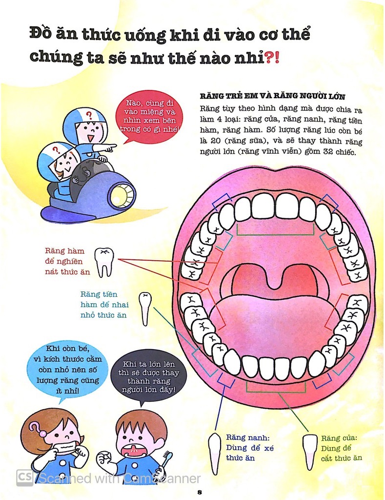khám phá bí ẩn cơ thể người (tái bản 2022)