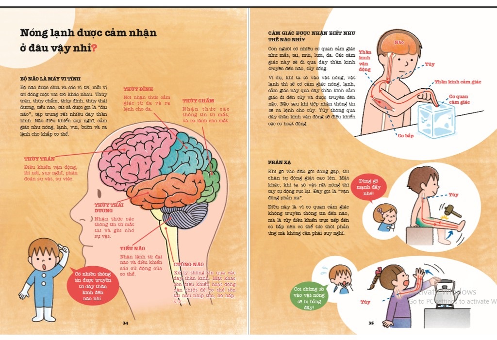 khám phá bí ẩn cơ thể người (tái bản 2022)