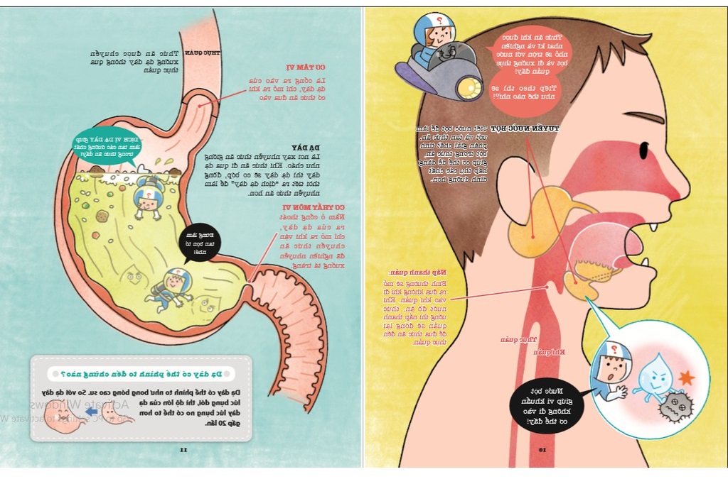khám phá bí ẩn cơ thể người (tái bản 2022)