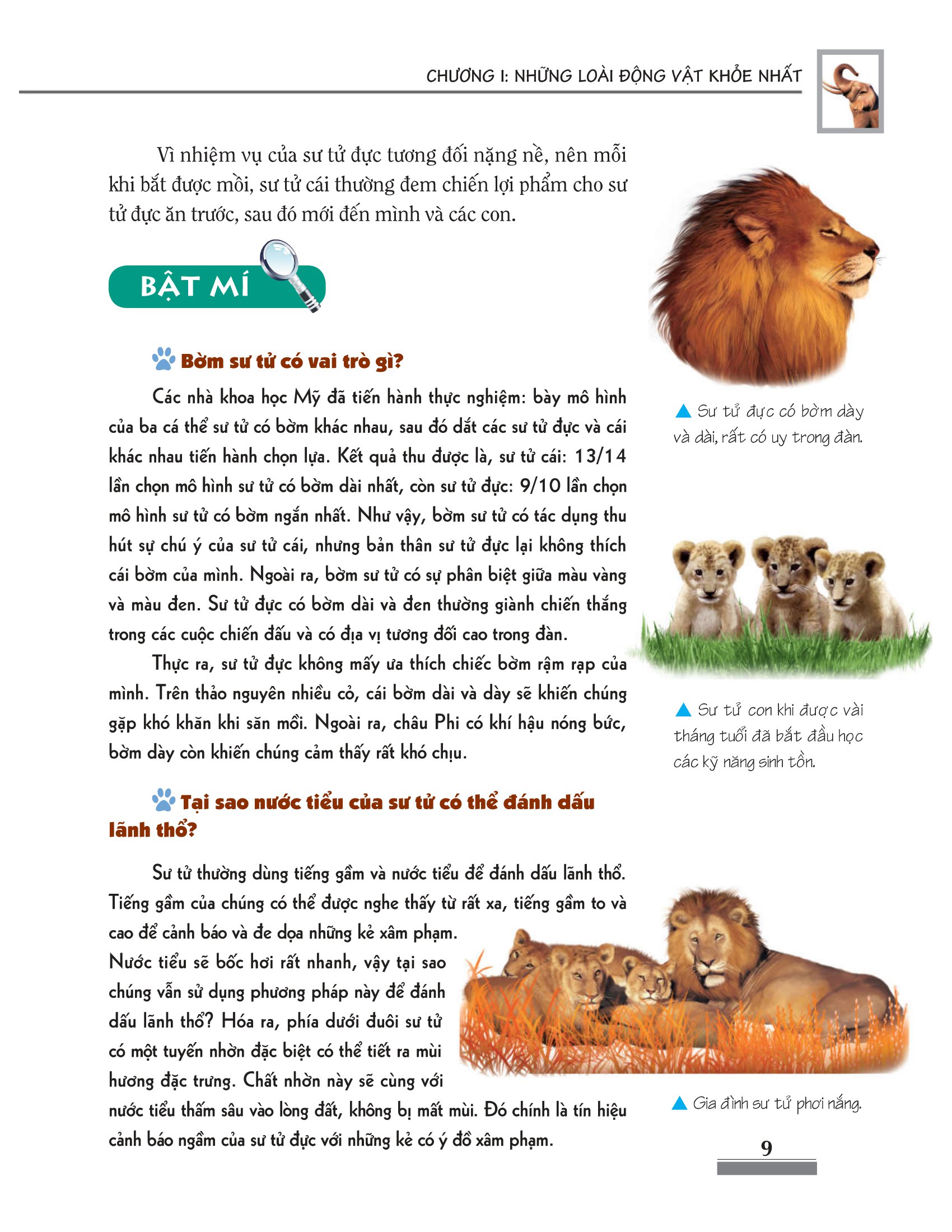 khám phá bí ẩn thế giới tự nhiên dành cho học sinh - động vật (tái bản 2023)