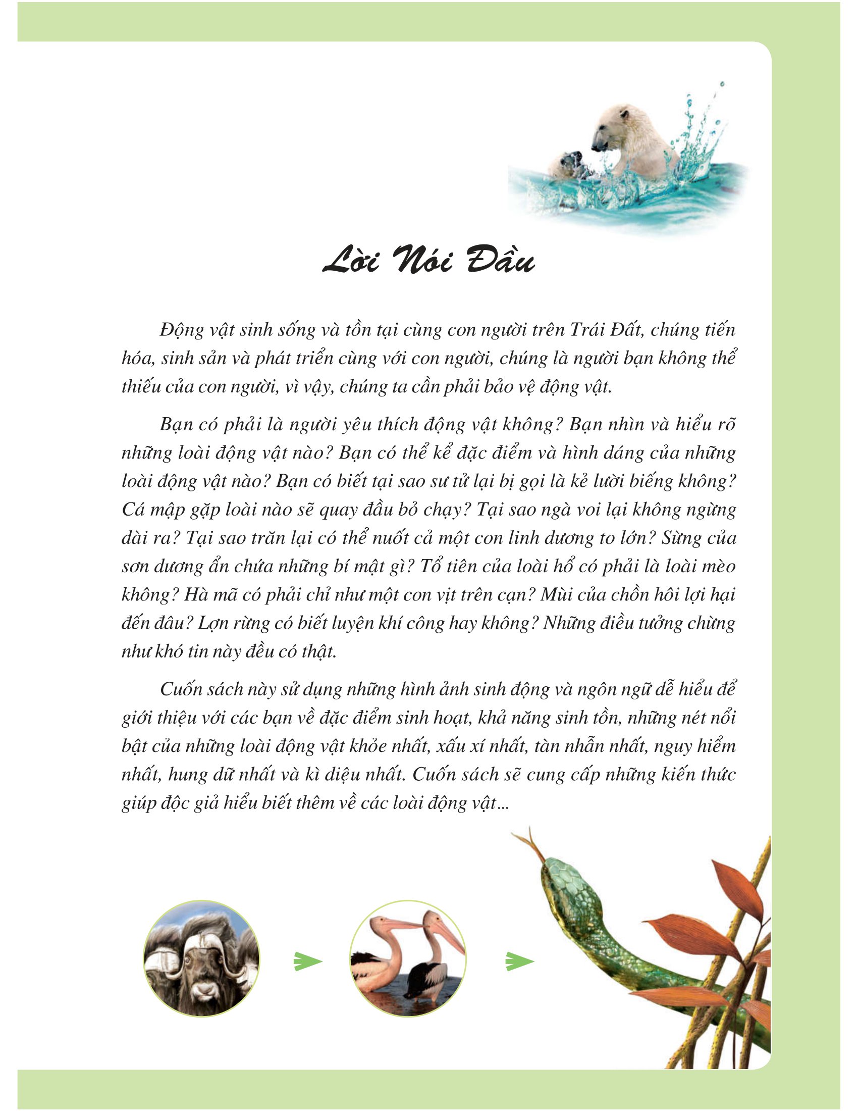 khám phá bí ẩn thế giới tự nhiên dành cho học sinh - động vật (tái bản 2023)