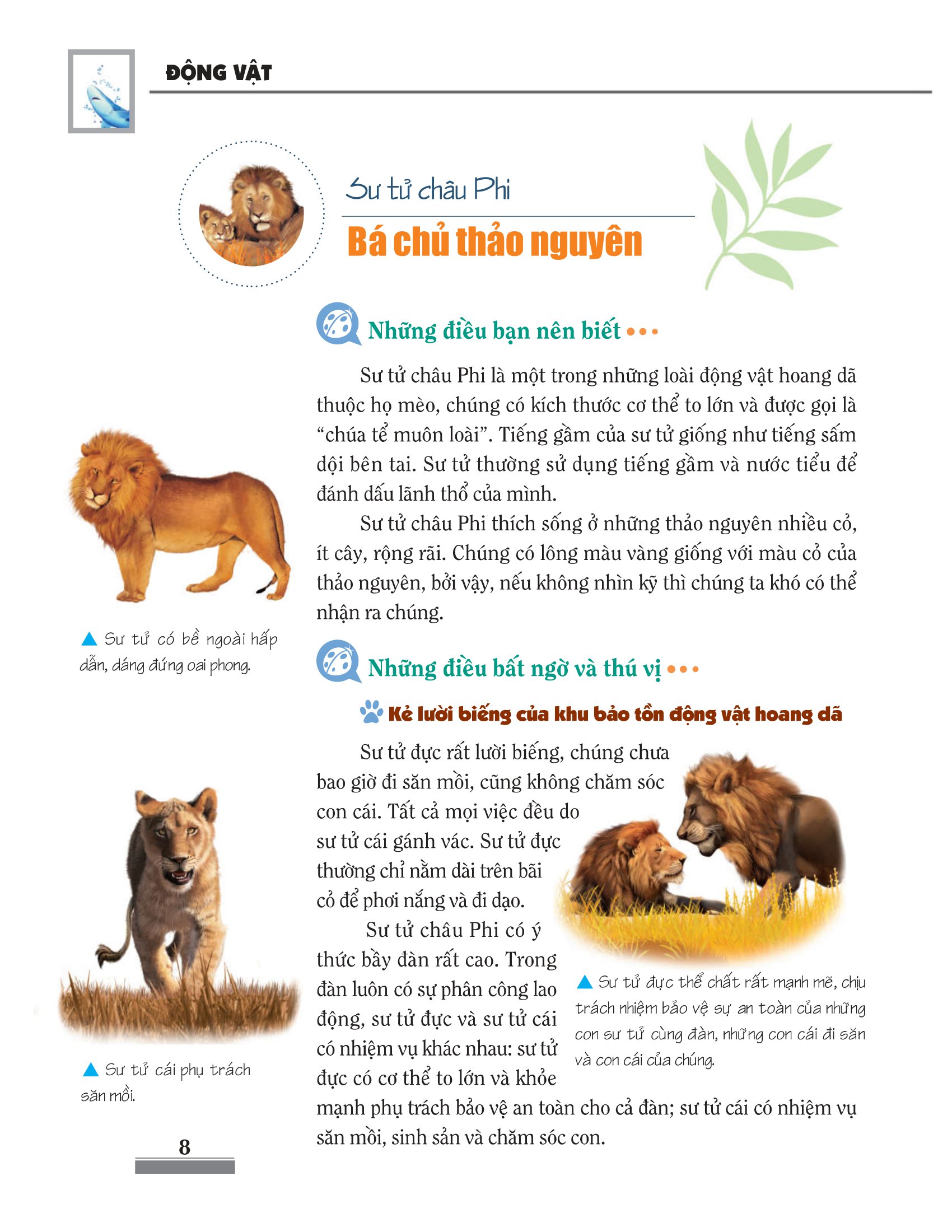 khám phá bí ẩn thế giới tự nhiên dành cho học sinh - động vật (tái bản 2023)