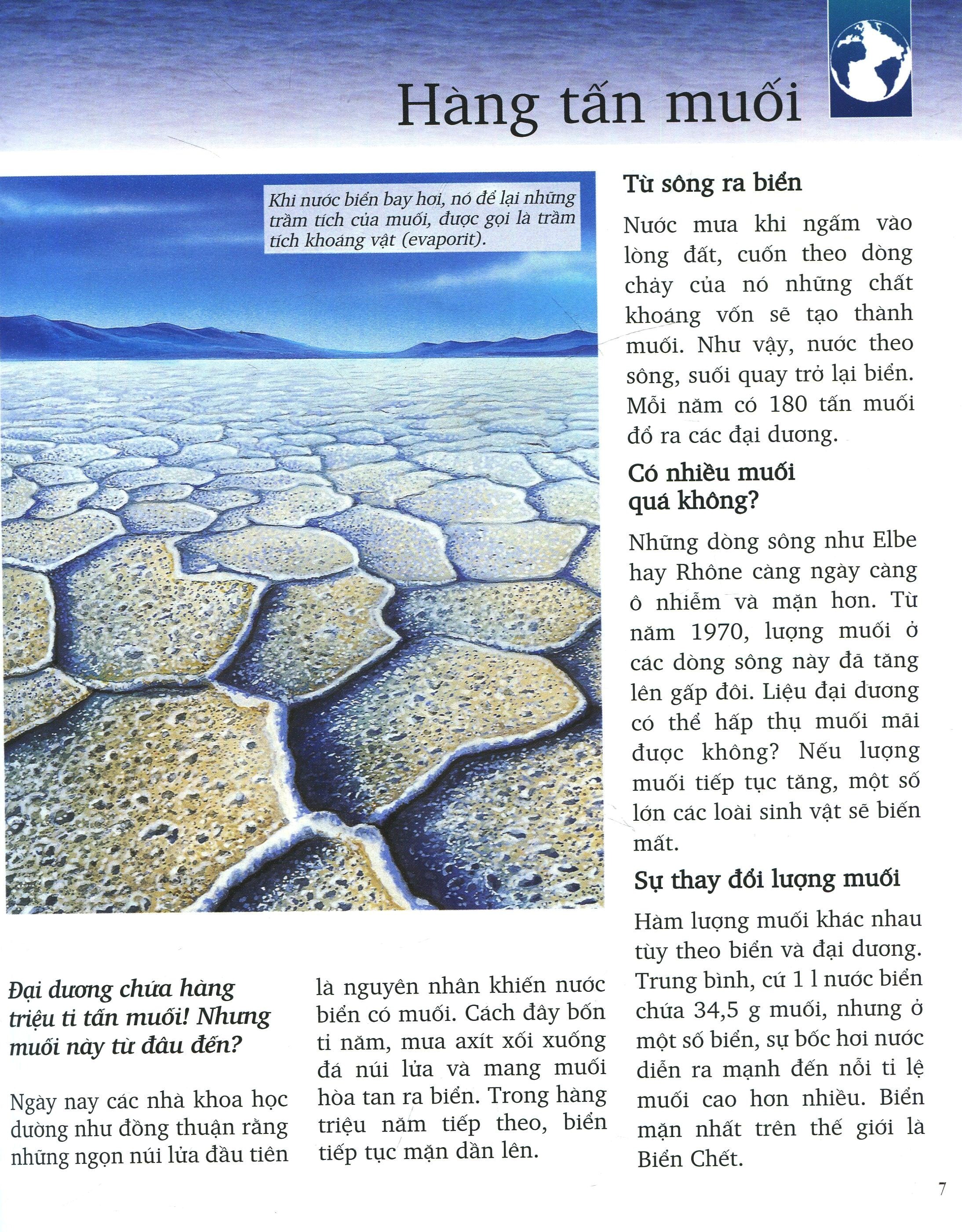 Khám Phá Biển - Bìa Cứng (Tái Bản 2025)