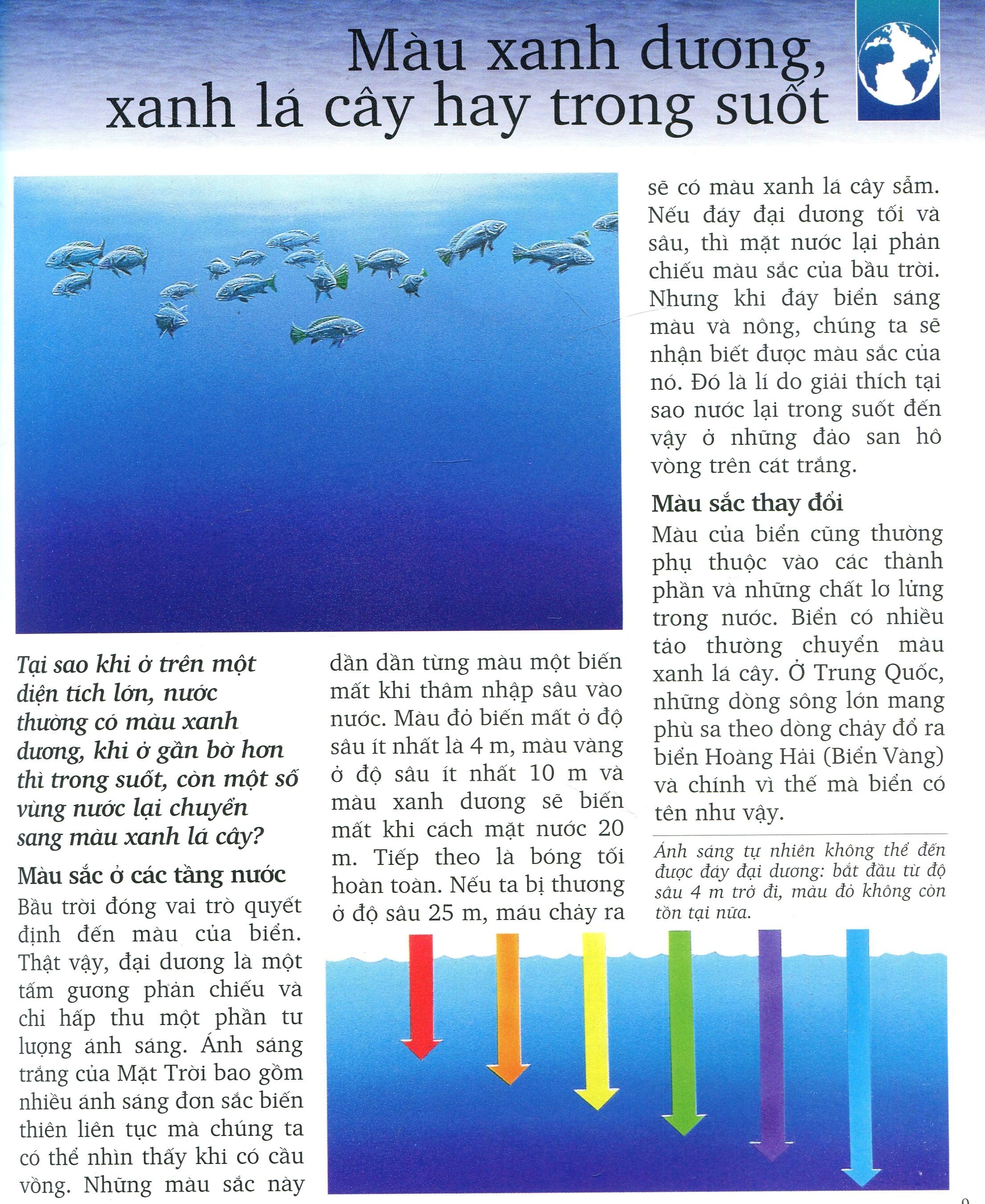 Khám Phá Biển - Bìa Cứng (Tái Bản 2025)
