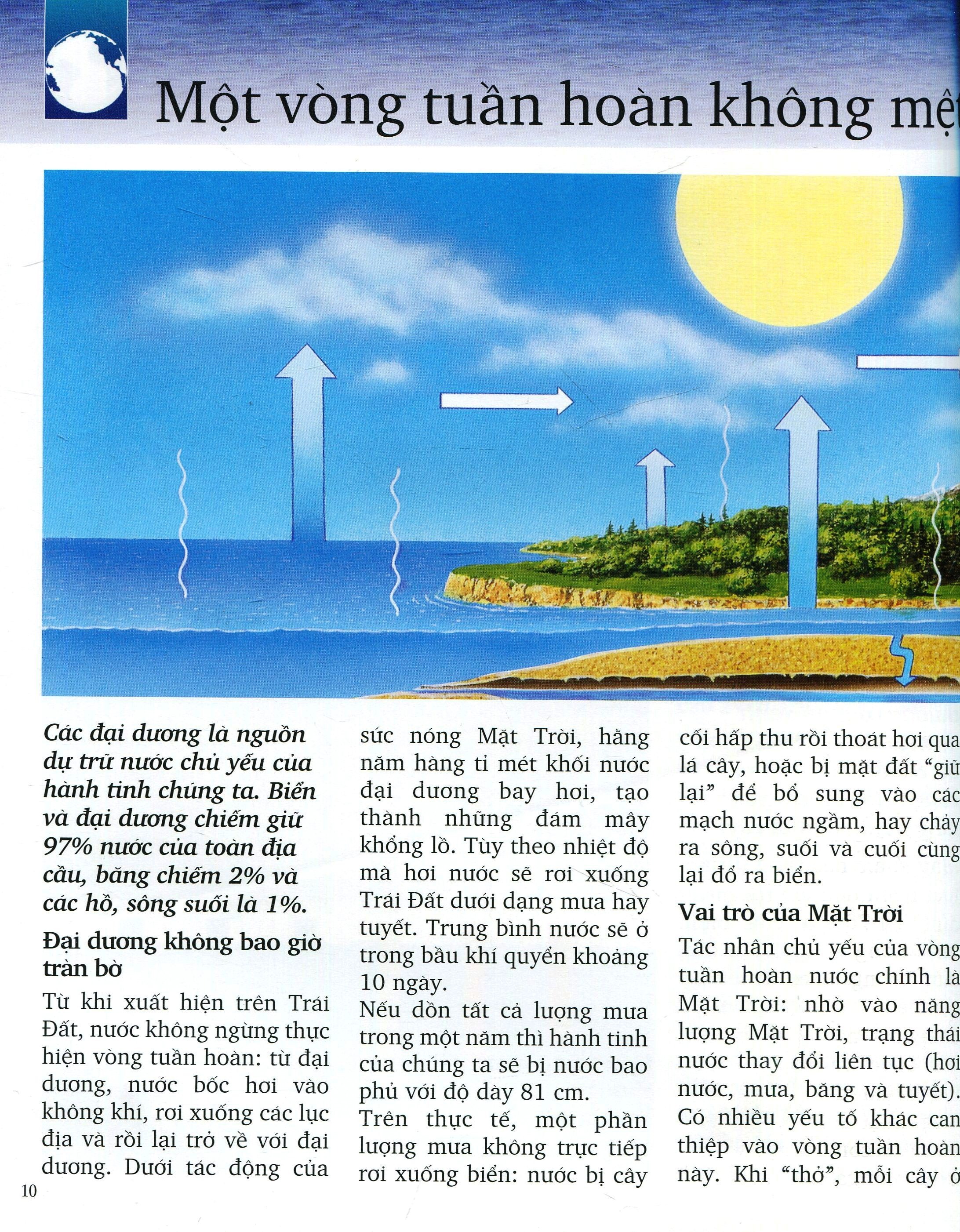 Khám Phá Biển - Bìa Cứng (Tái Bản 2025)