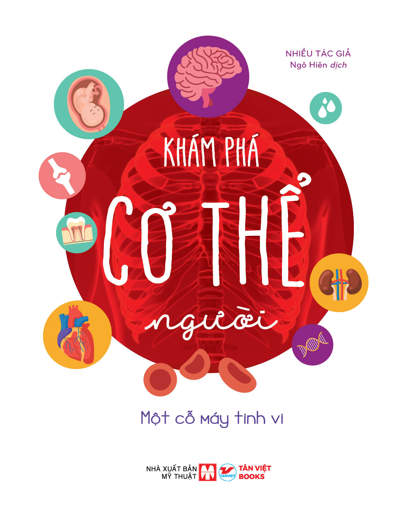 Khám Phá Cơ Thể Người - Một Cỗ Máy Tinh Vi