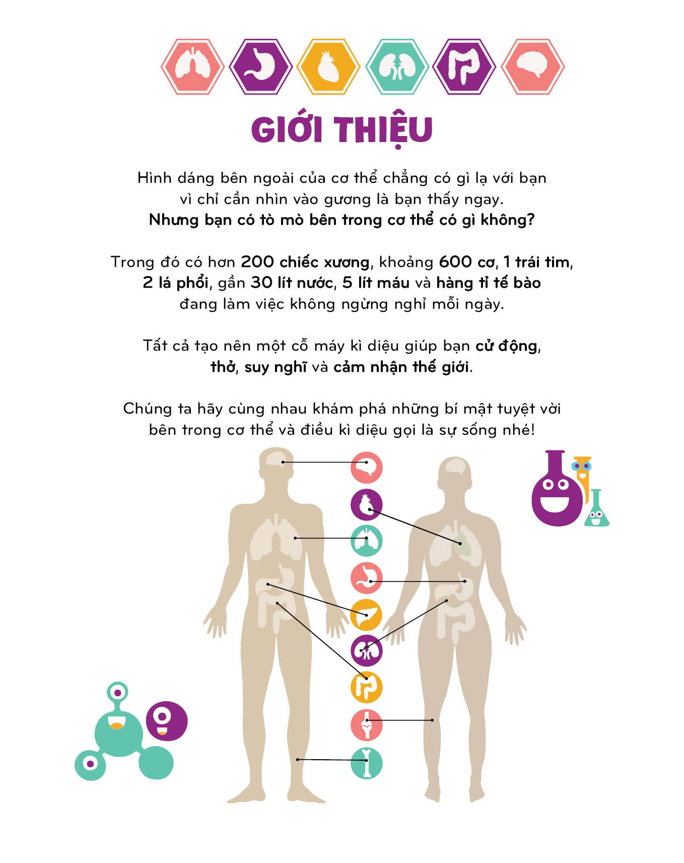 Khám Phá Cơ Thể Người - Một Cỗ Máy Tinh Vi