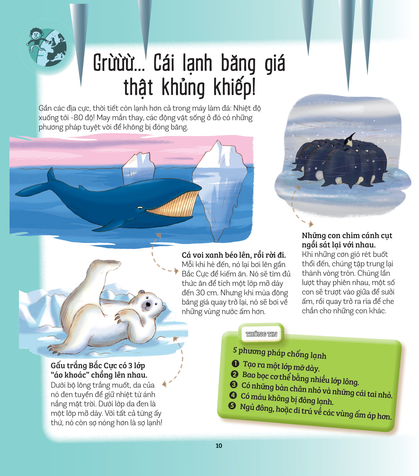 khám phá đầu tiên của tớ về… - những kỷ lục thế giới