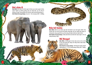 khám phá động vật 5 châu - châu á