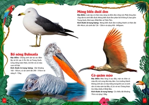 khám phá động vật 5 châu - châu á