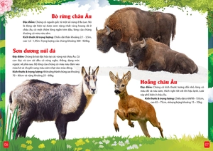 khám phá động vật 5 châu - châu âu