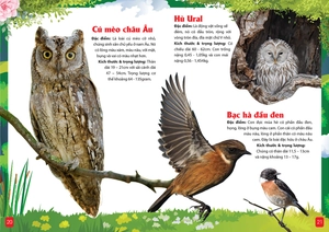 khám phá động vật 5 châu - châu âu