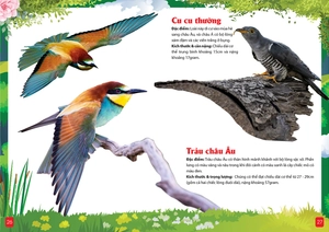 khám phá động vật 5 châu - châu âu