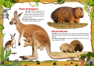 khám phá động vật 5 châu - châu đại dương