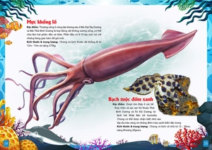 khám phá động vật 5 châu - châu đại dương