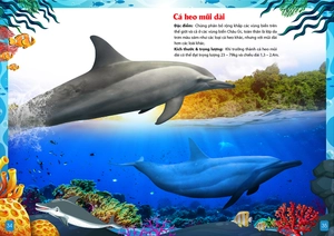 khám phá động vật 5 châu - châu đại dương