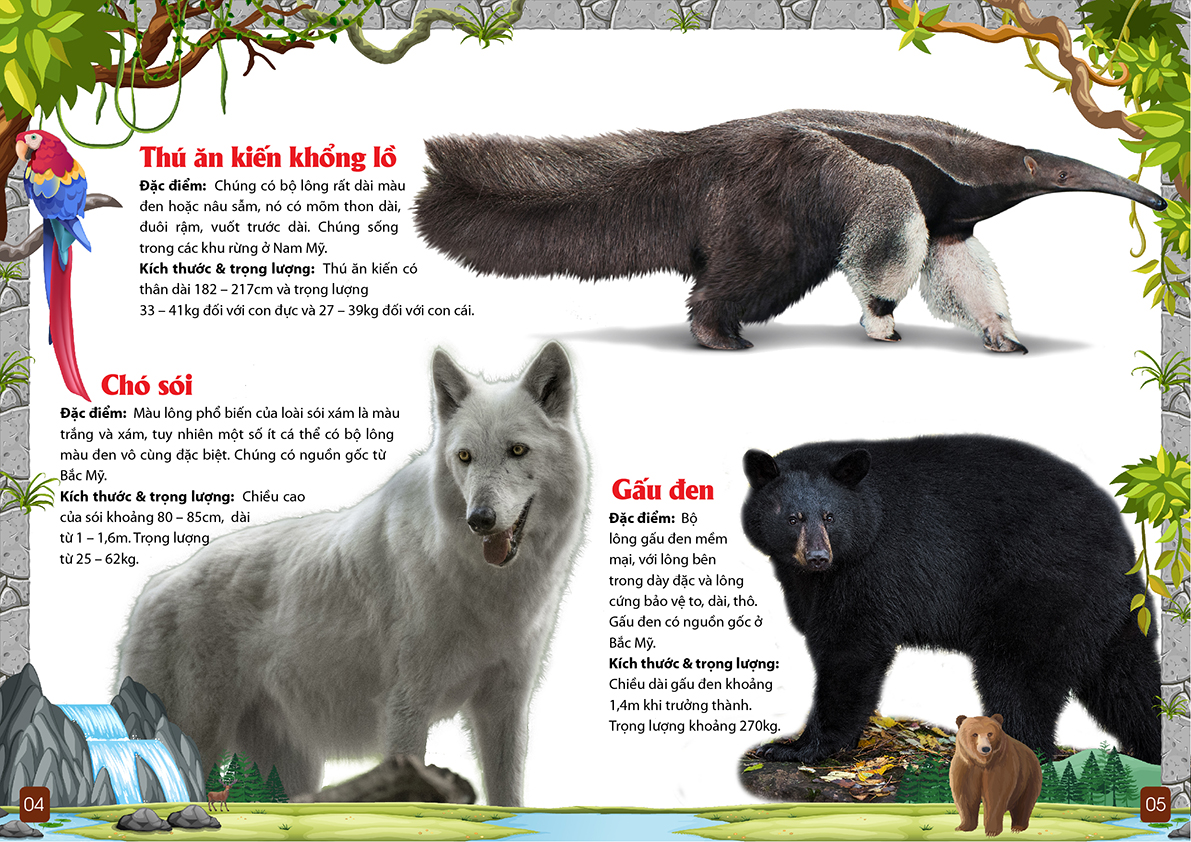 khám phá động vật 5 châu - châu mỹ