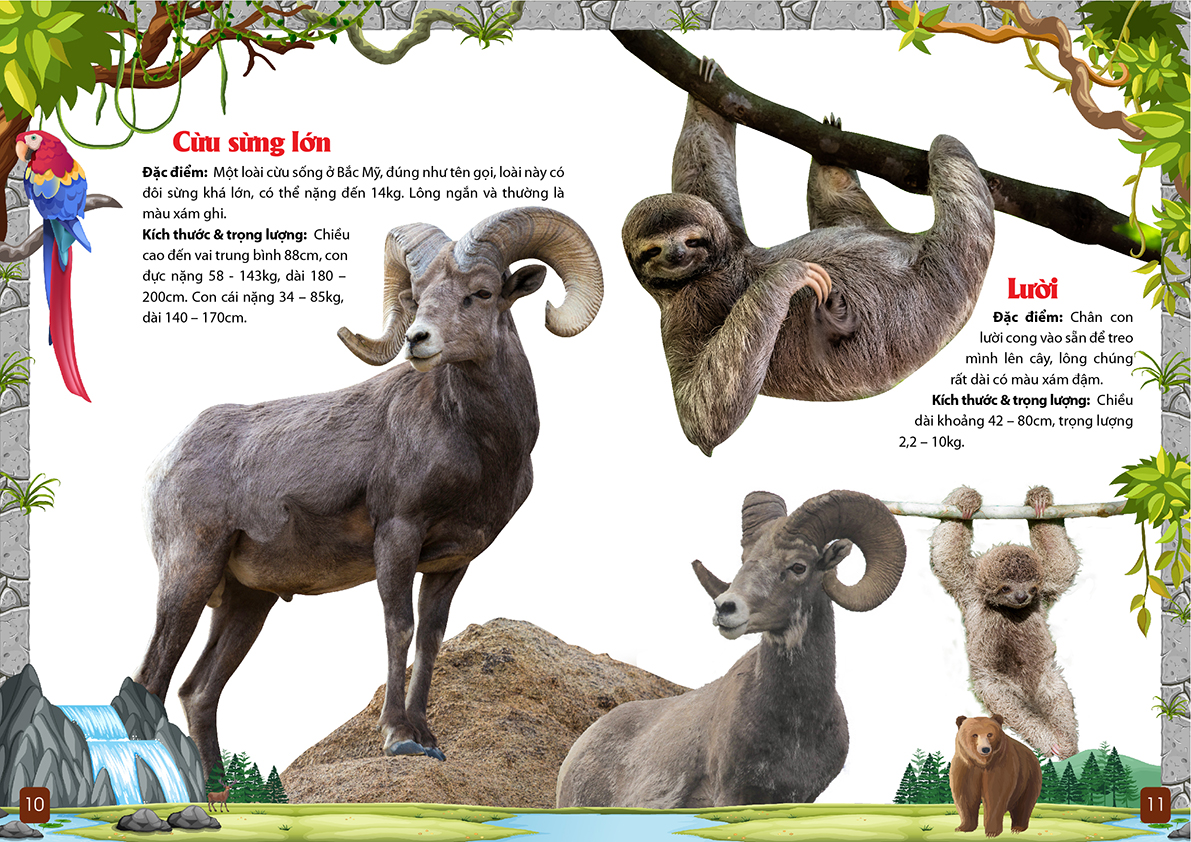 khám phá động vật 5 châu - châu mỹ