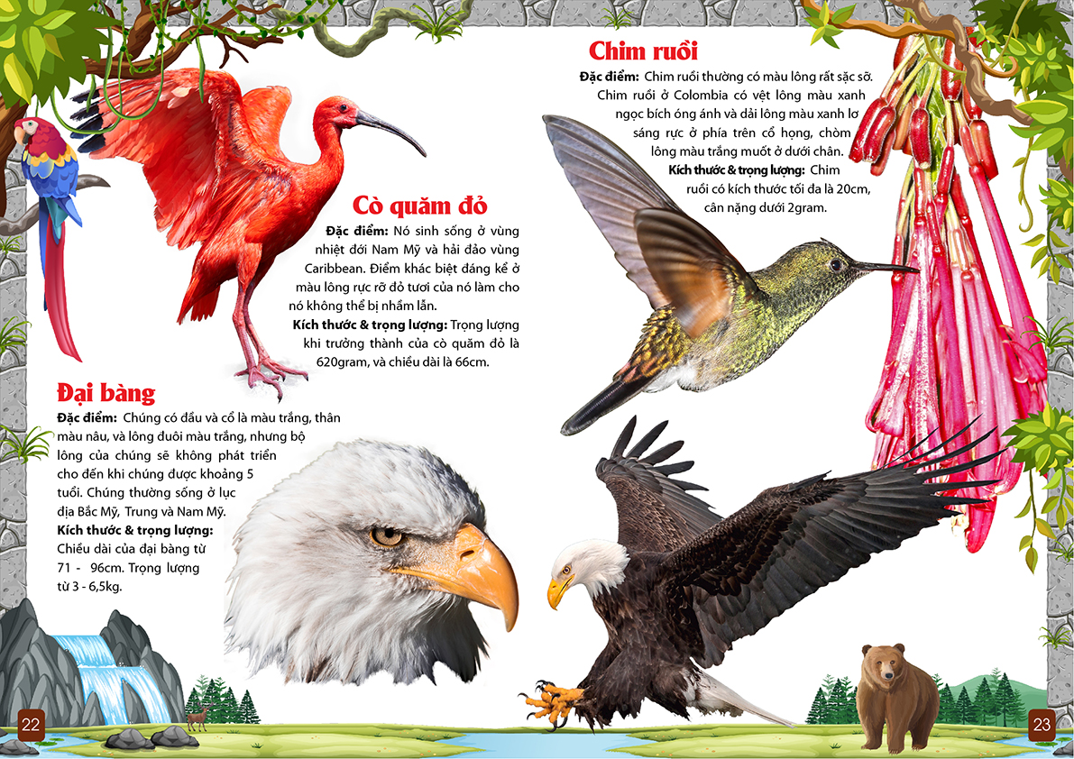 khám phá động vật 5 châu - châu mỹ