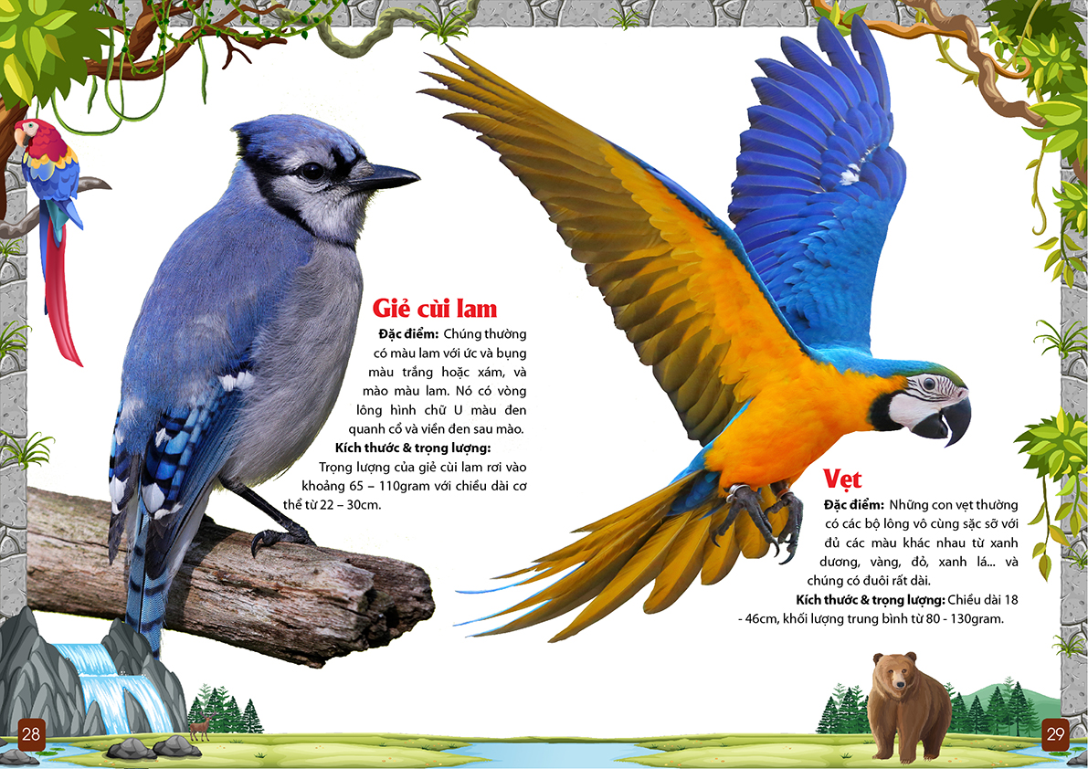 khám phá động vật 5 châu - châu mỹ