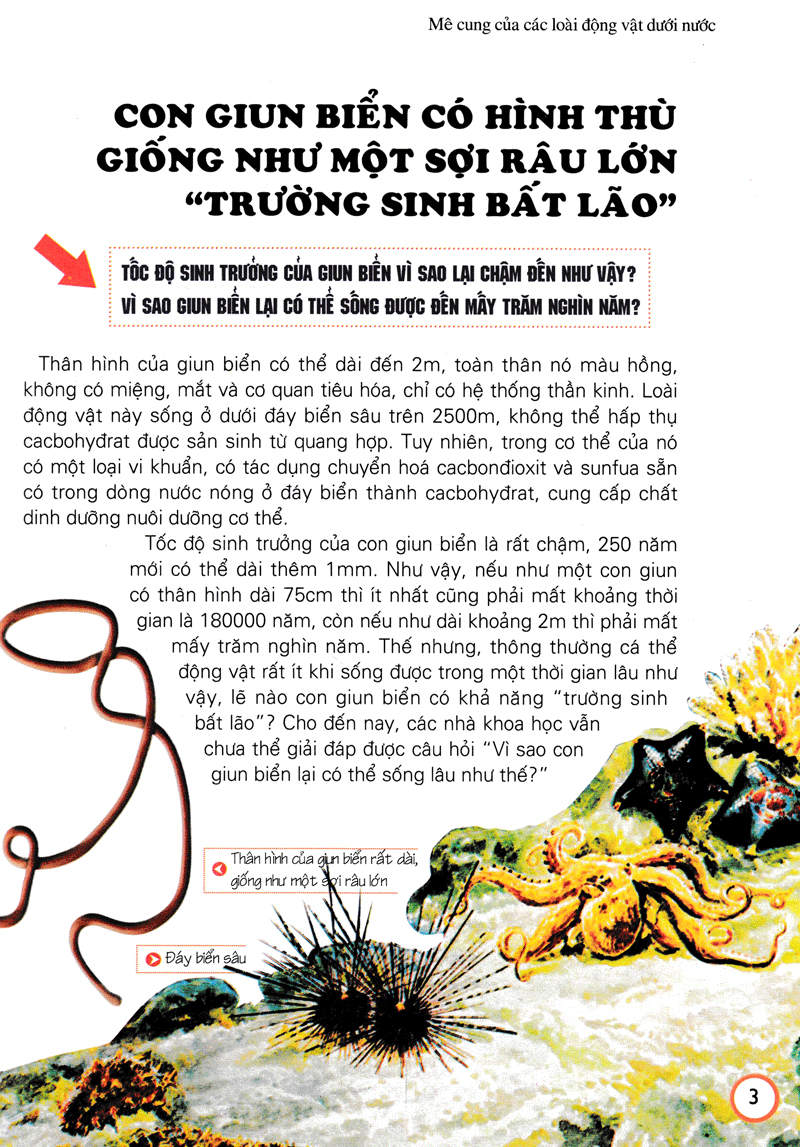 khám phá những bí ẩn về động vật (tái bản)