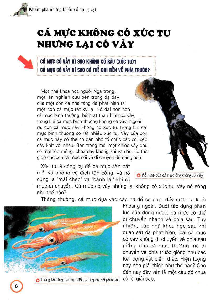 khám phá những bí ẩn về động vật (tái bản)