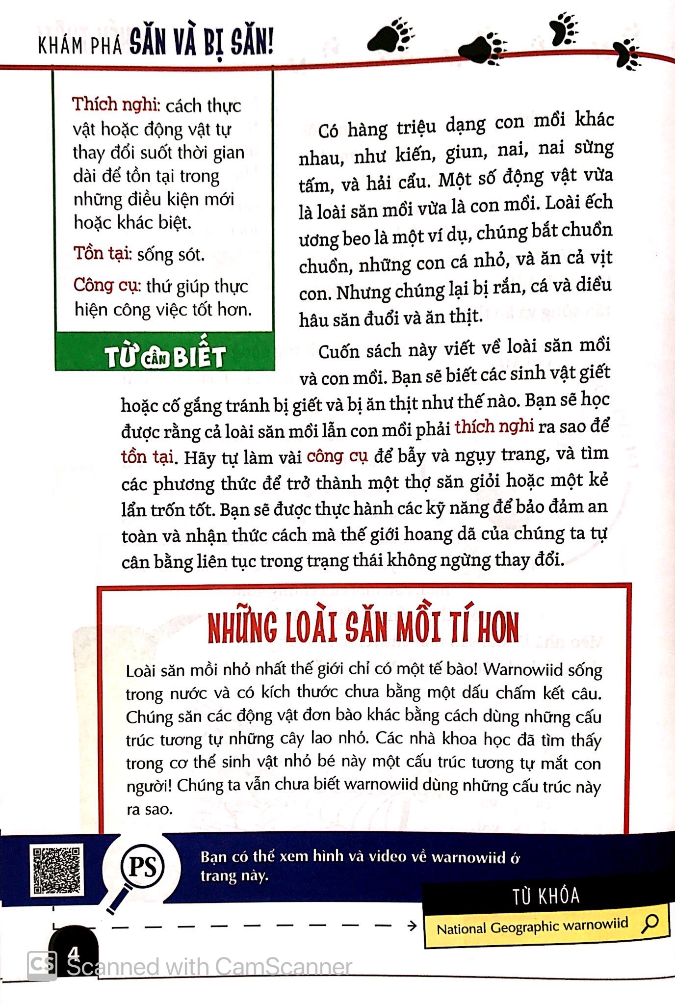 khám phá săn và bị săn - cùng 25 dự án tuyệt vời