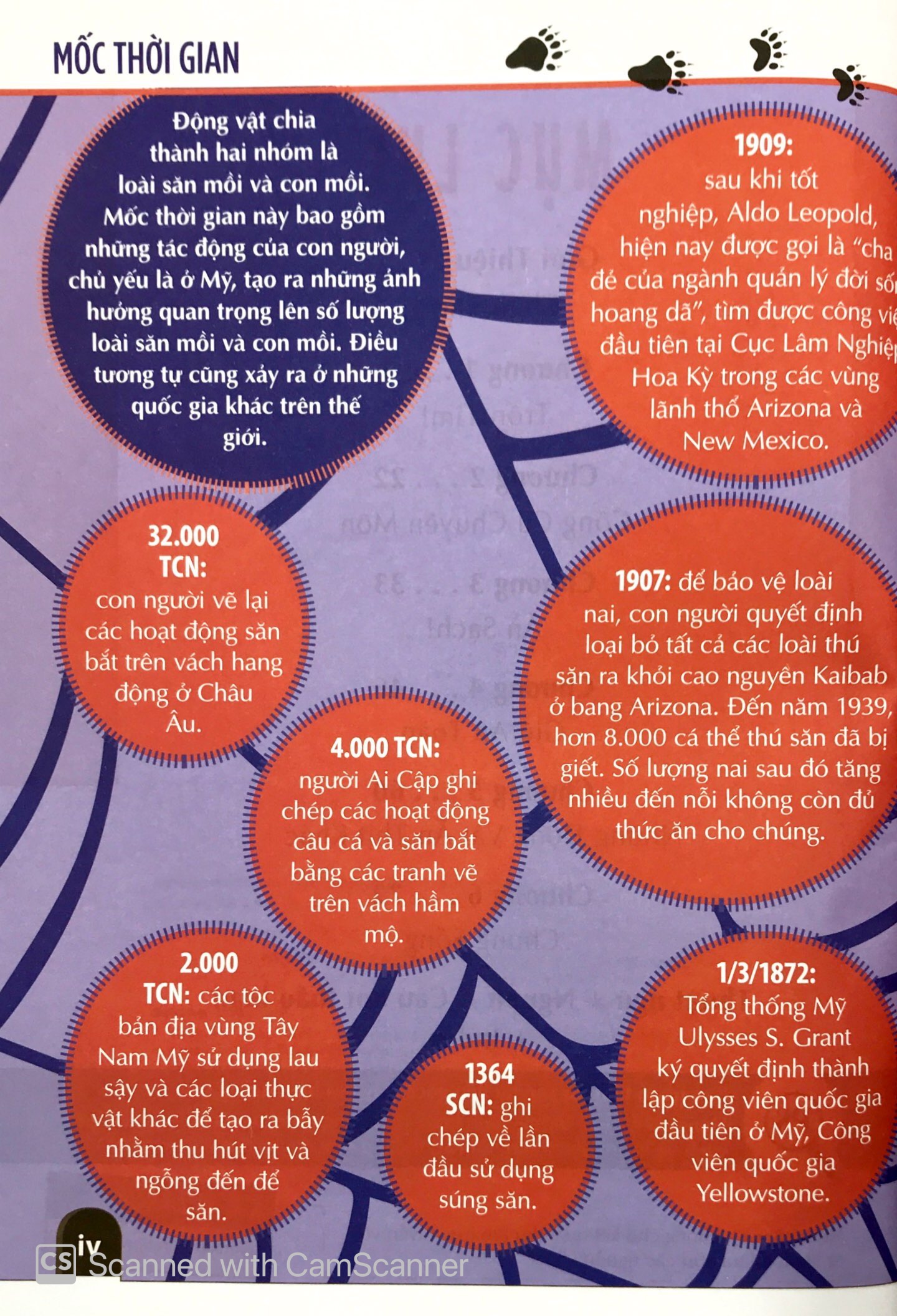 khám phá săn và bị săn - cùng 25 dự án tuyệt vời