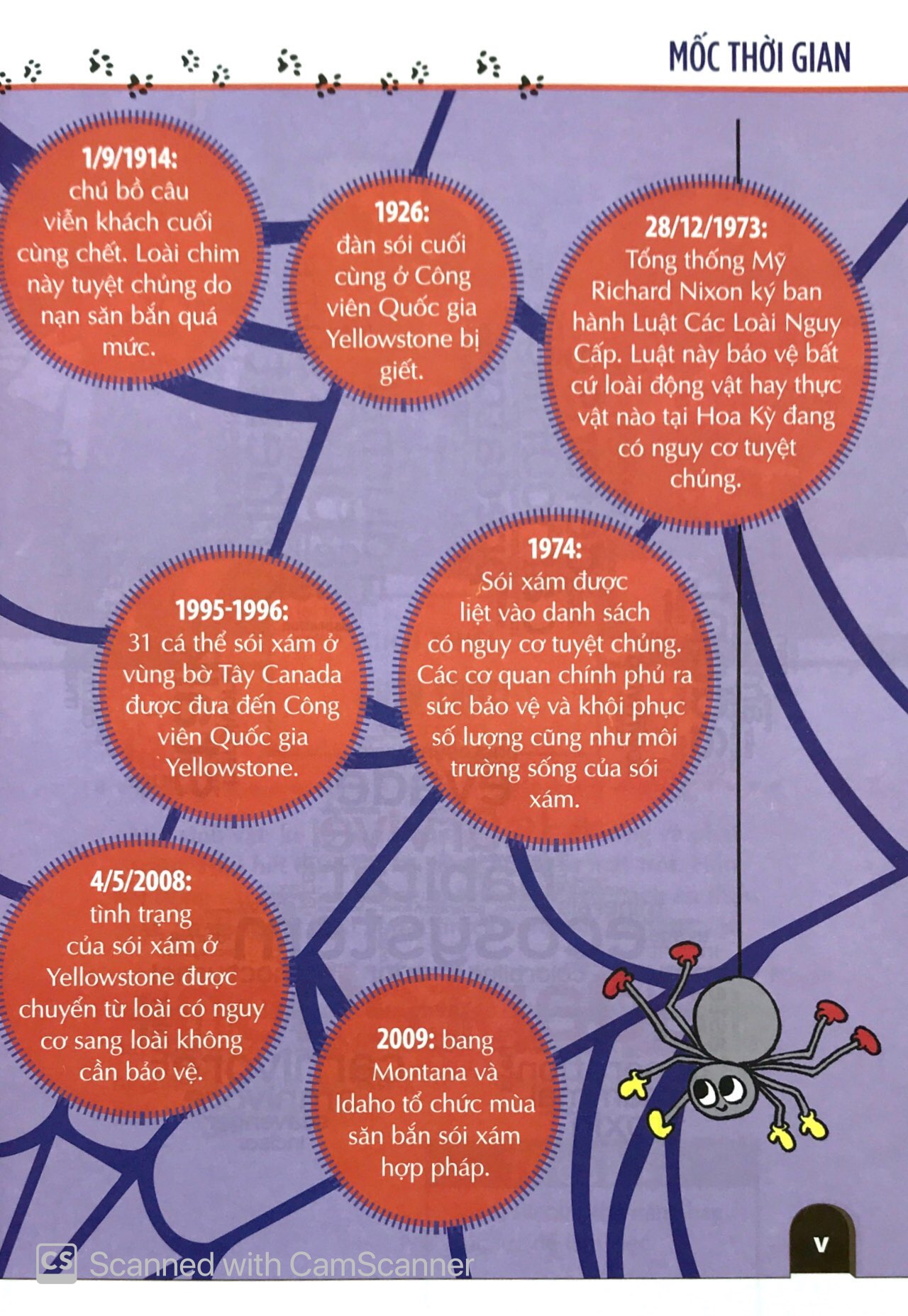 khám phá săn và bị săn - cùng 25 dự án tuyệt vời