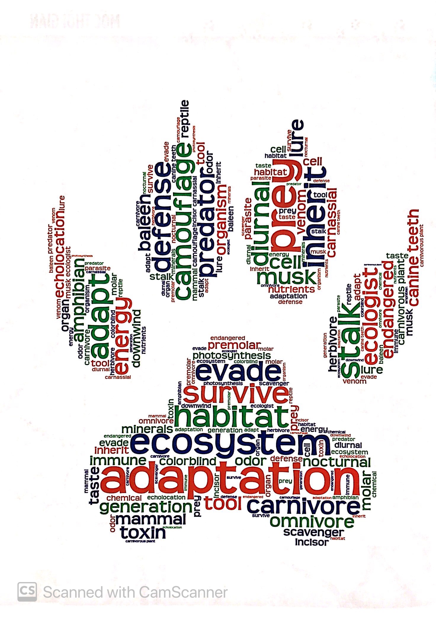 khám phá săn và bị săn - cùng 25 dự án tuyệt vời