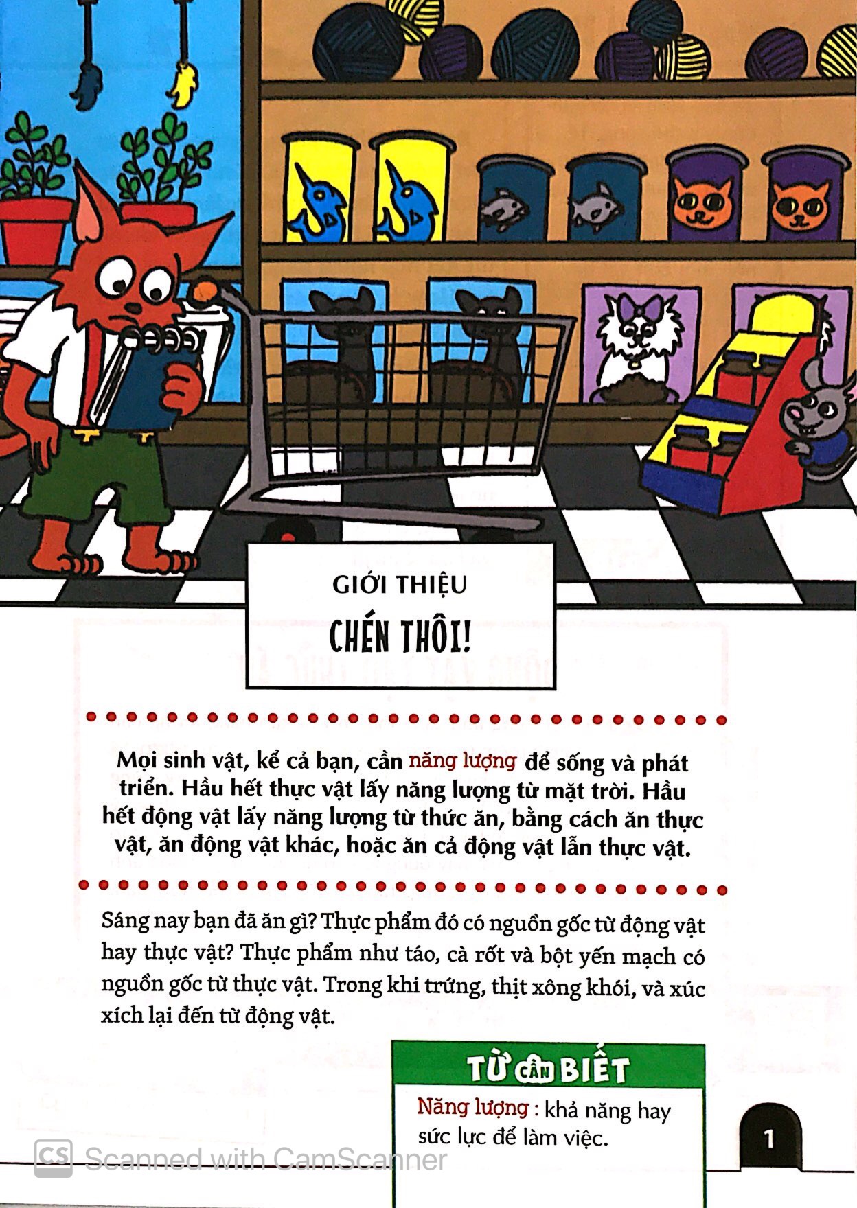 khám phá săn và bị săn - cùng 25 dự án tuyệt vời