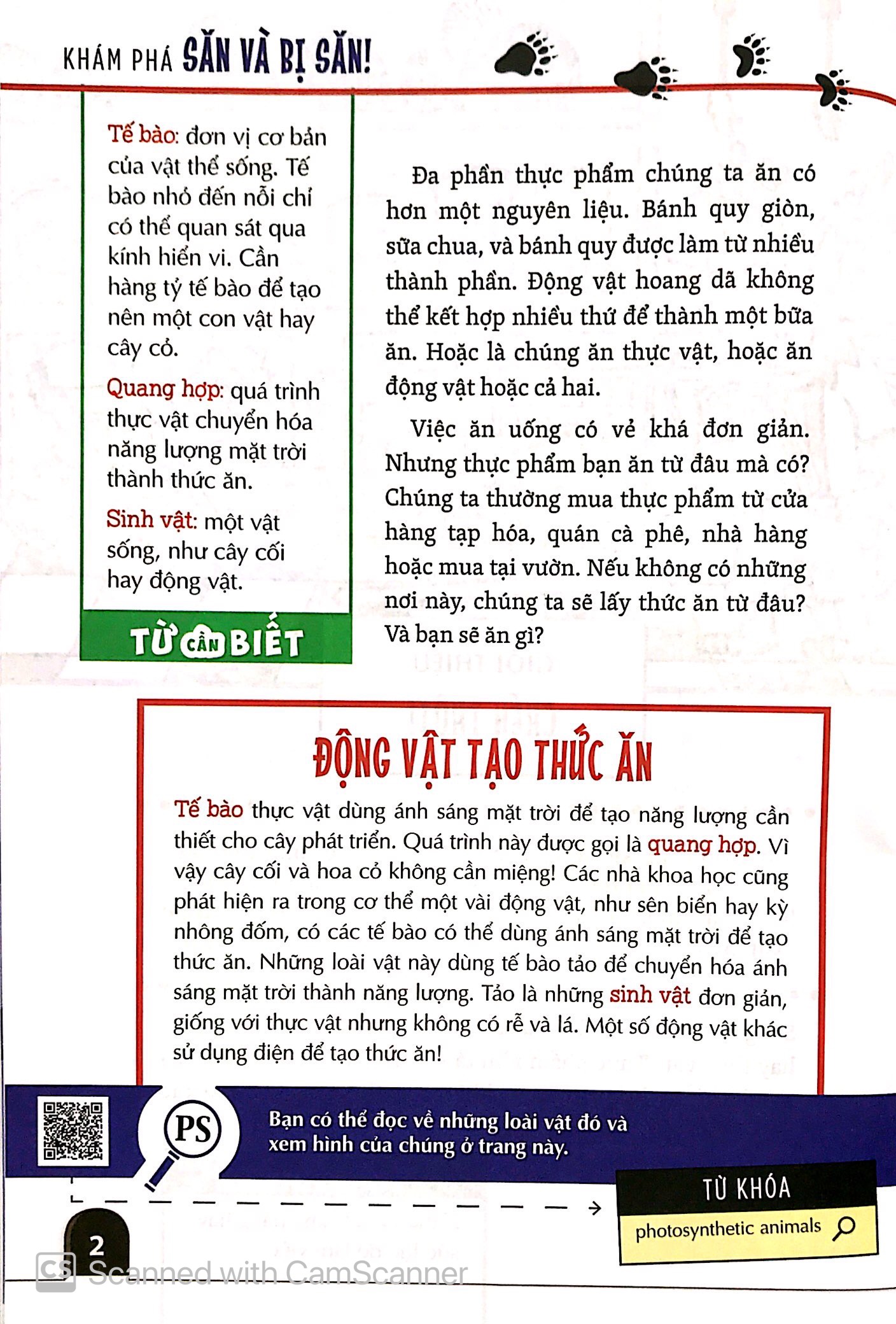 khám phá săn và bị săn - cùng 25 dự án tuyệt vời